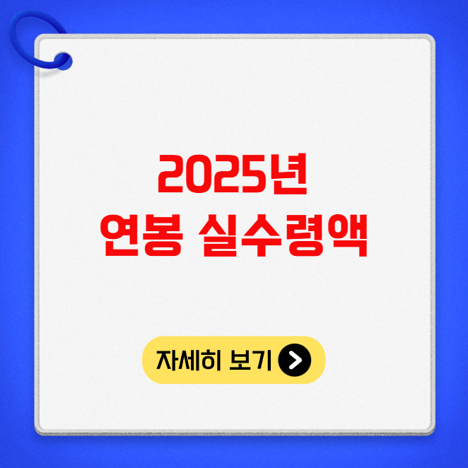 2025년 연봉 실수령액